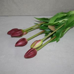 Tulpenstrauß rot