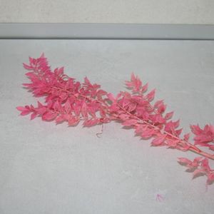 Blätterzweig pink