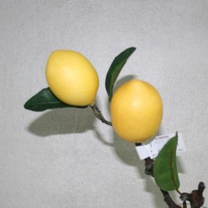 Zitronenzweig 2 Früchte