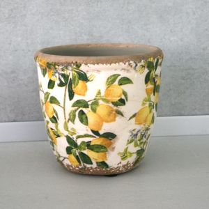 Blumentopf Zitrone
