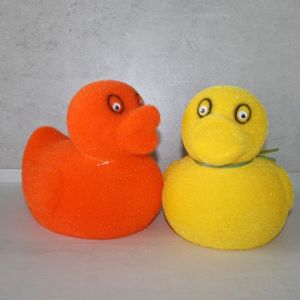 Ente befockt 