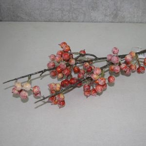 Beerenzweig natur-rot