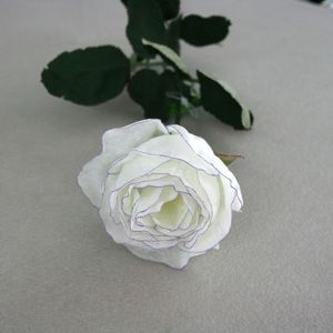 Rose weiß/lila