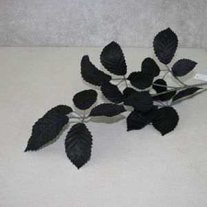 Blätterzweig schwarz