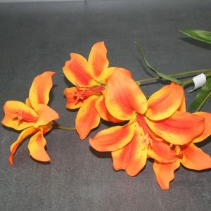 Lilie orange