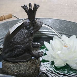 Frosch Springbrunnen 