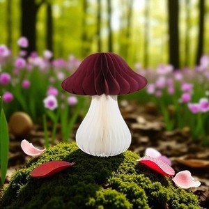 Pilz Papier